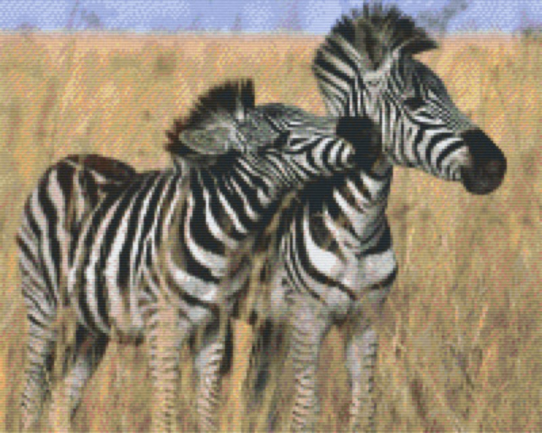 Baby Zebras In Africa Sixteen [16] Baseplate PixelHobby Mini-Mosaic Art Kit image 0